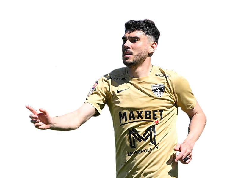 Mihai Roman